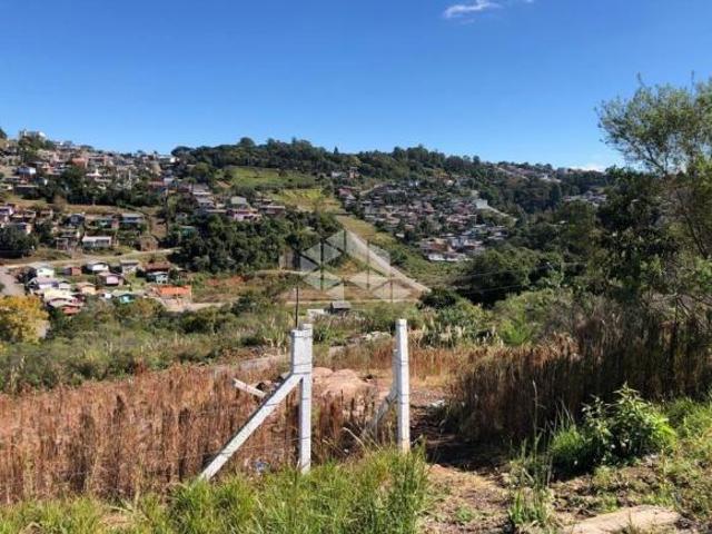 Terreno venda em Região Geográfica Imediata de Caxias do Sul, Caxias do Sul