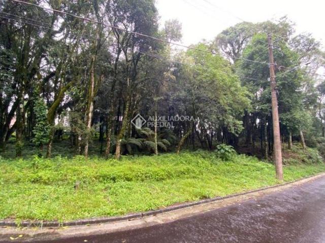 Terreno venda em Região Geográfica Imediata de Caxias do Sul, Gramado