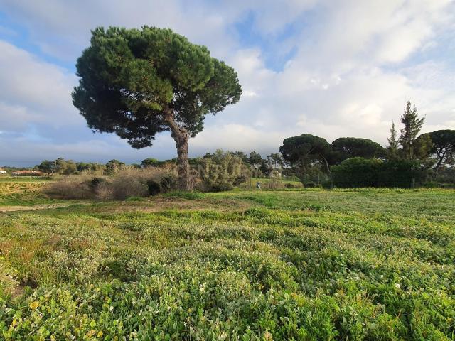 Terreno venda em Sesimbra (Castelo), Sesimbra