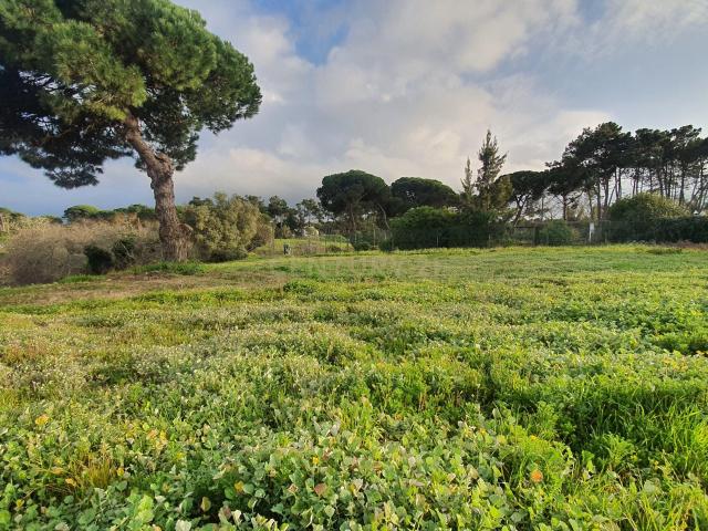Terreno venda em Castelo, Sesimbra