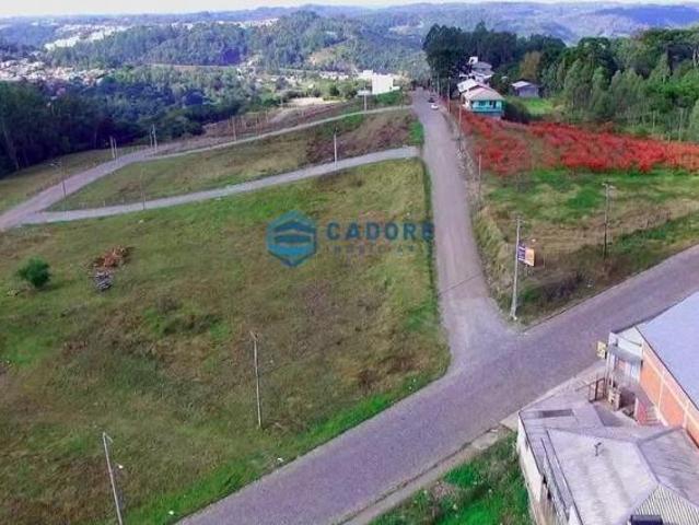 Terreno venda em Loteamento Alto das Graças, Caxias do Sul
