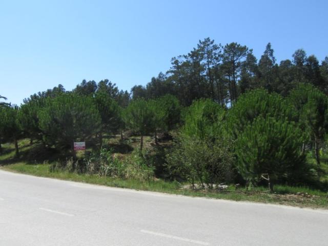 Terreno venda em Outeiro da Fonte, Leiria