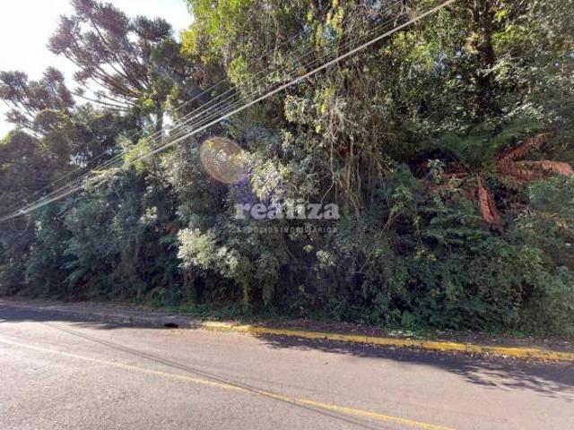 Terreno venda em Região Geográfica Imediata de Caxias do Sul, Canela