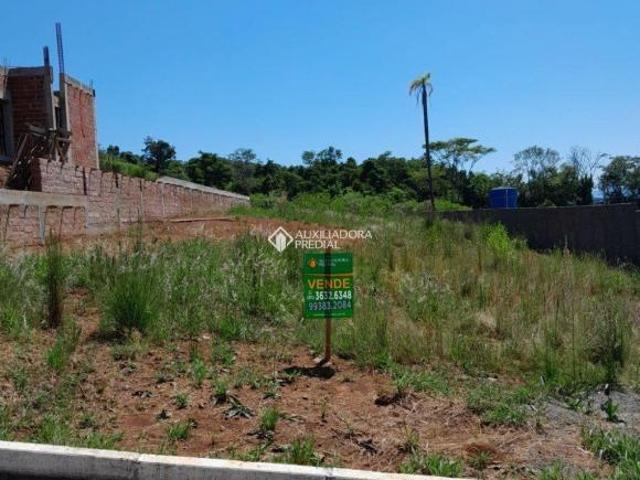 Terreno venda em Região Geográfica Imediata de Montenegro, Pareci Novo
