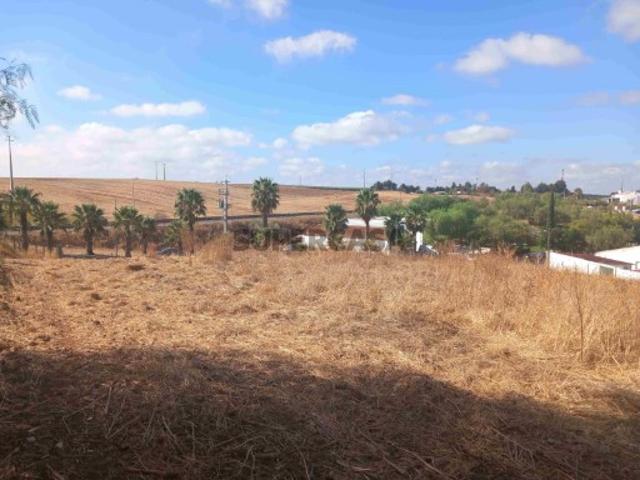 Terreno venda em Serpa, Beja