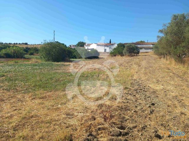 Terreno venda em Serpa, Beja