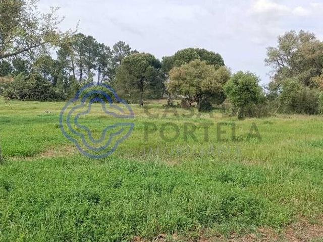 Terreno venda em Poceirão e Marateca, Palmela