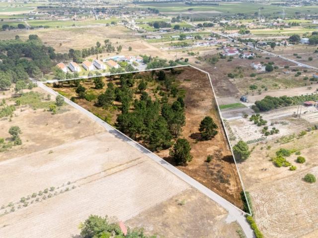 Terreno venda em Palmela, Setúbal