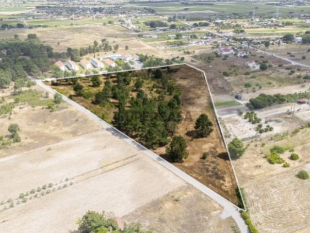 Terreno venda em Palmela, Setúbal