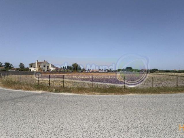 Terreno venda em Benavente, Santarém