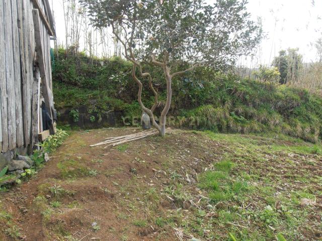 Terreno venda em Açores, Ribeira Grande