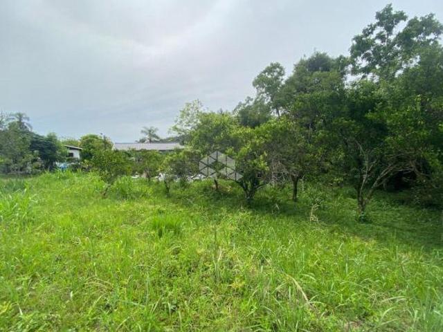Terreno venda em Sede Municipal, Santa Cruz do Sul
