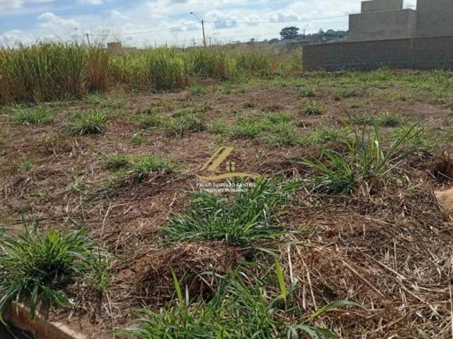 Terreno venda em São José do Rio Preto
