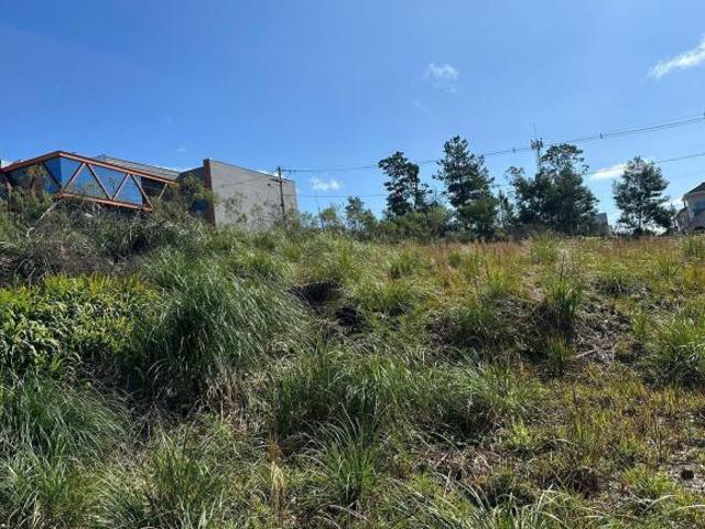 Terreno venda em Região Geográfica Imediata de Caxias do Sul, Caxias do Sul
