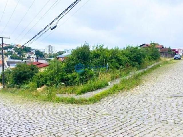 Terreno venda em Região Geográfica Imediata de Caxias do Sul, Caxias do Sul