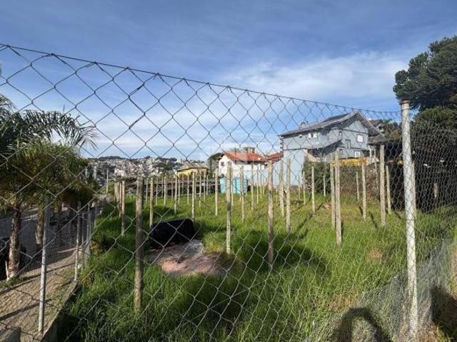 Terreno venda em Região Geográfica Imediata de Bento Gonçalves, Bento Gonçalves