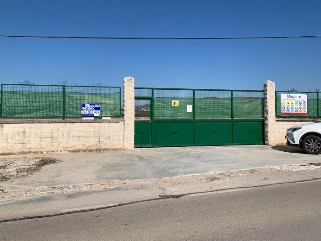 Terreno en alquiler en Lucena