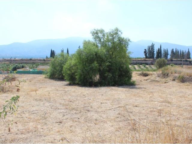 Terreno en venta en Bajo Guadalentín, Murcia