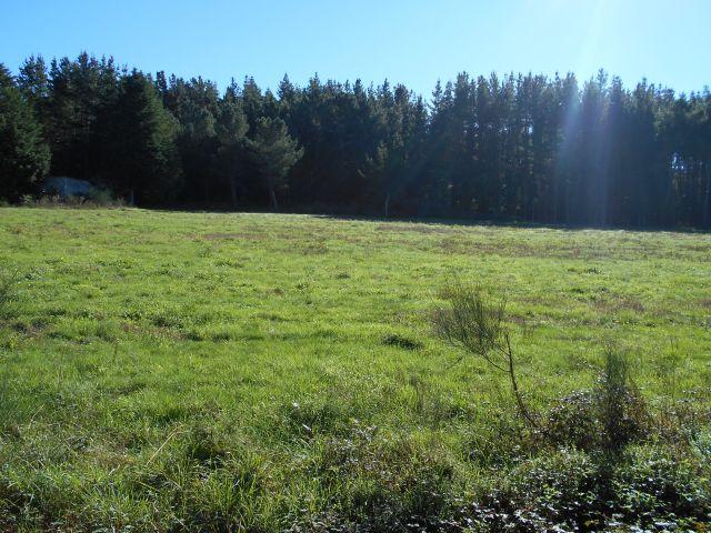 Terreno en venta en Monforte De Lemos, Reboredo
