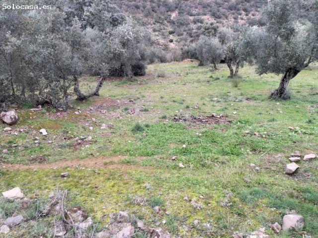 Local Comercial en venta en Villanueva Del Rey, Andalucía
