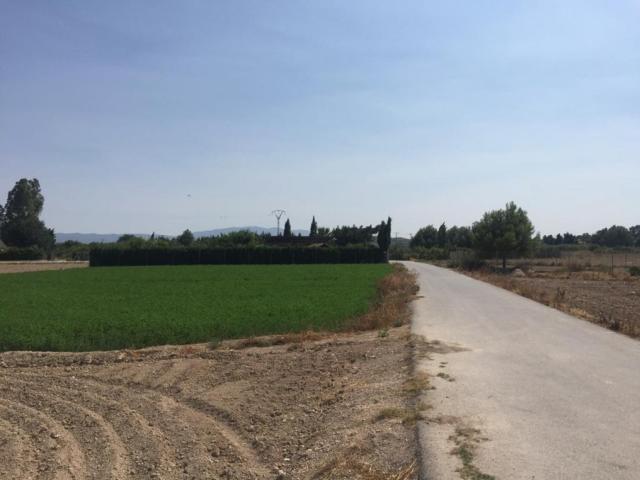 Terreno en venta en El Puntal, Vega Media del Segura