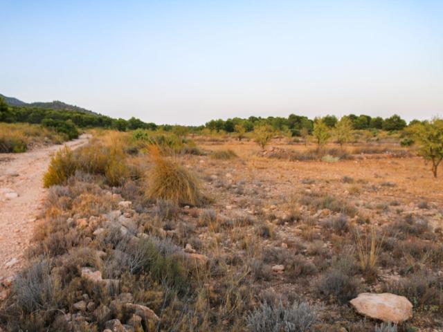 Terreno en venta en Altiplano, Murcia