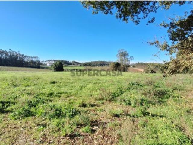 Terreno venda em Valado de Santa Quitéria, Alcobaça