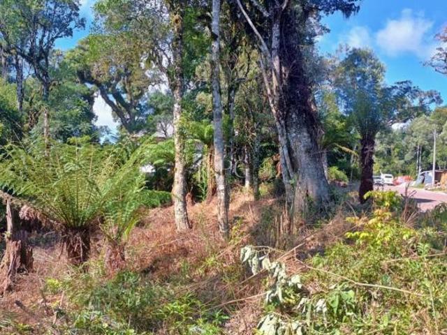 Terreno venda em Região Geográfica Imediata de Caxias do Sul, Gramado