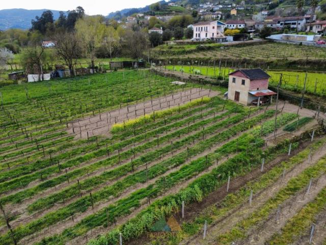 Terreno venda em Grovelas São João Evangelista, Viana Do Castelo