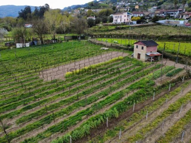 Terreno venda em Grovelas São João Evangelista, Viana Do Castelo