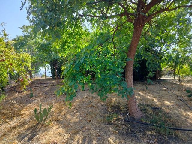 Terreno en venta en Reñidero, La Axarquía