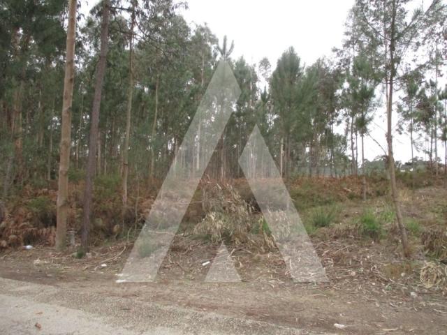Terreno venda em Oliveira Do Bairro, Aveiro