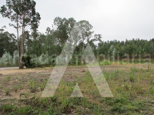 Terreno venda em Oliveira Do Bairro, Aveiro