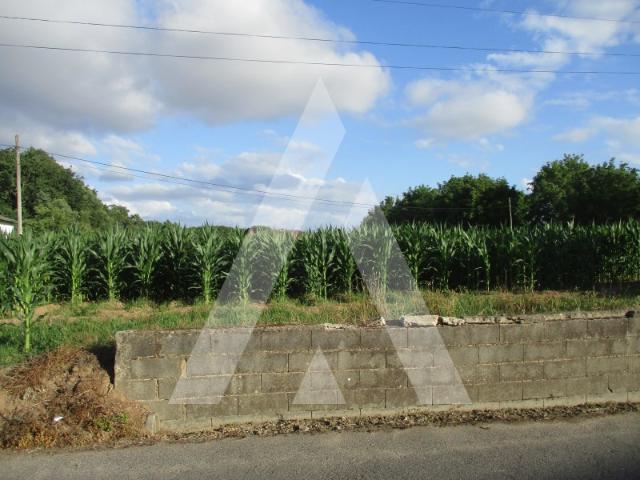 Terreno venda em Oliveira Do Bairro, Aveiro