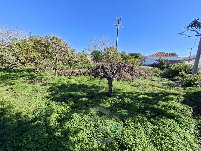 Terreno venda em Montes de Alvor, Portimão