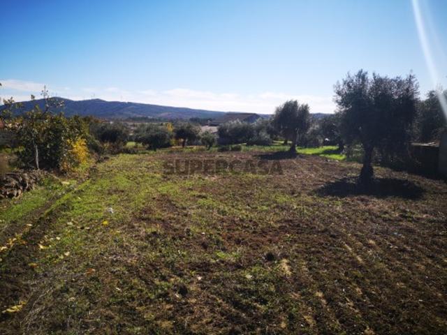 Terreno venda em Castelo Branco, Aldeia Nova Do Cabo