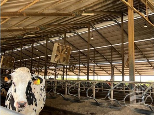 Terreno venda em Campo Maior Terreno venda em Campo Maior