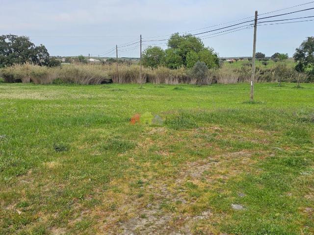 Terreno venda em Nossa Senhora das Neves, Beja