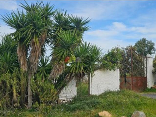 Terreno venda em Nossa Senhora das Neves, Beja