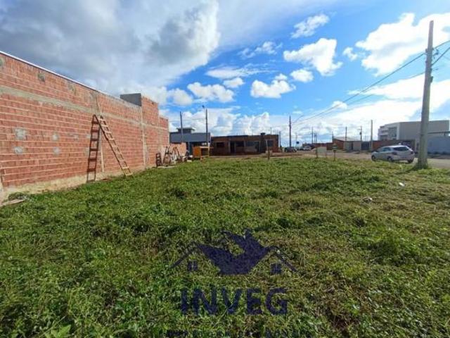 Terreno venda em Nova Mutum, Região Geográfica Intermediária de Sinop
