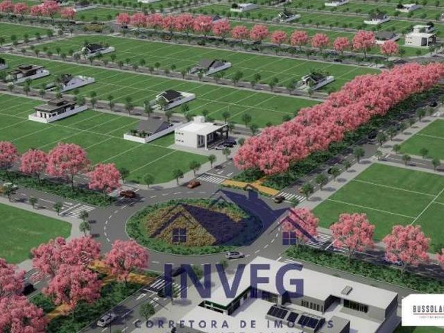 Terreno venda em Região Geográfica Imediata de Sorriso, Nova Mutum