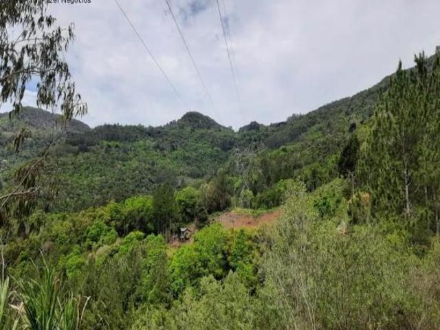 Terreno venda em Boêmios, Nova Petrópolis