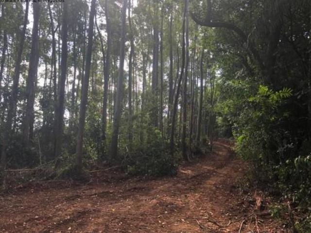 Terreno venda em Nova Petrópolis