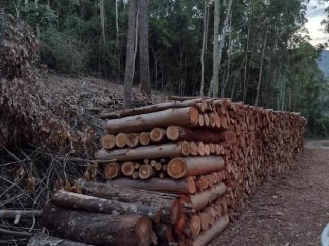 Terreno venda em Nova Petrópolis