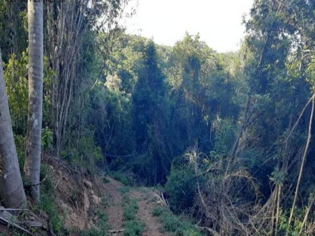 Terreno venda em Linha Nova