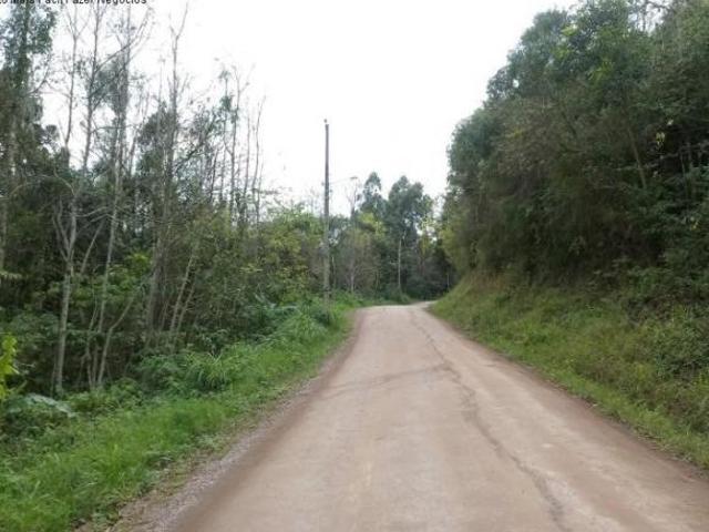 Terreno venda em Nova Petrópolis