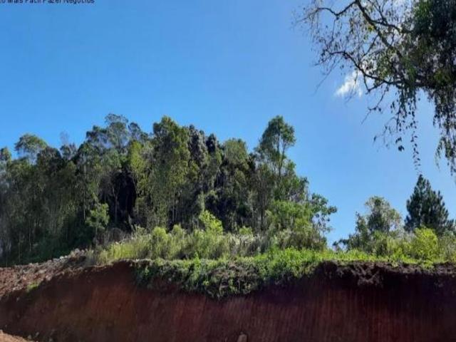 Terreno venda em Nova Petrópolis