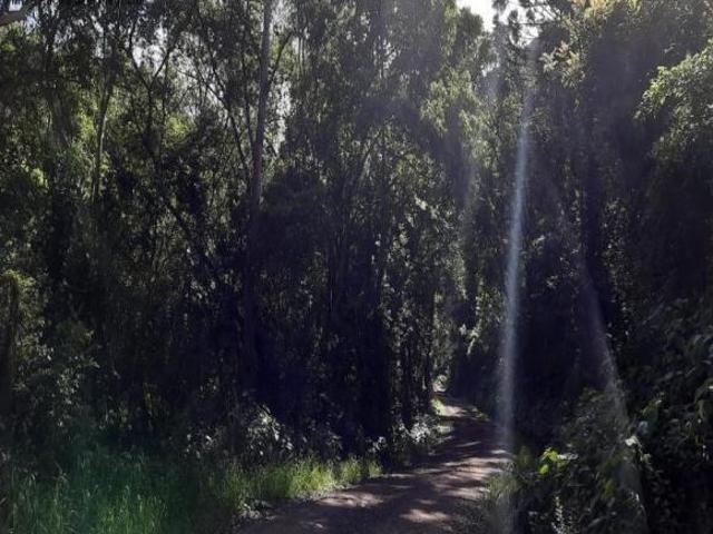 Terreno venda em Nova Petrópolis