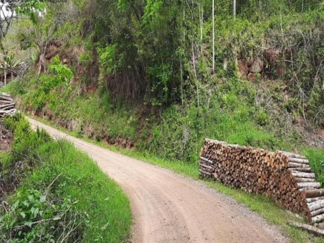 Terreno venda em Boêmios, Nova Petrópolis