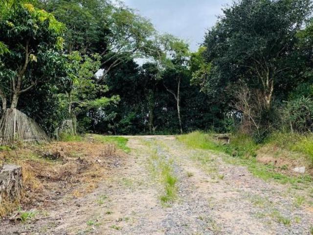 Terreno venda em Região Geográfica Imediata de Camaquã, Tapes